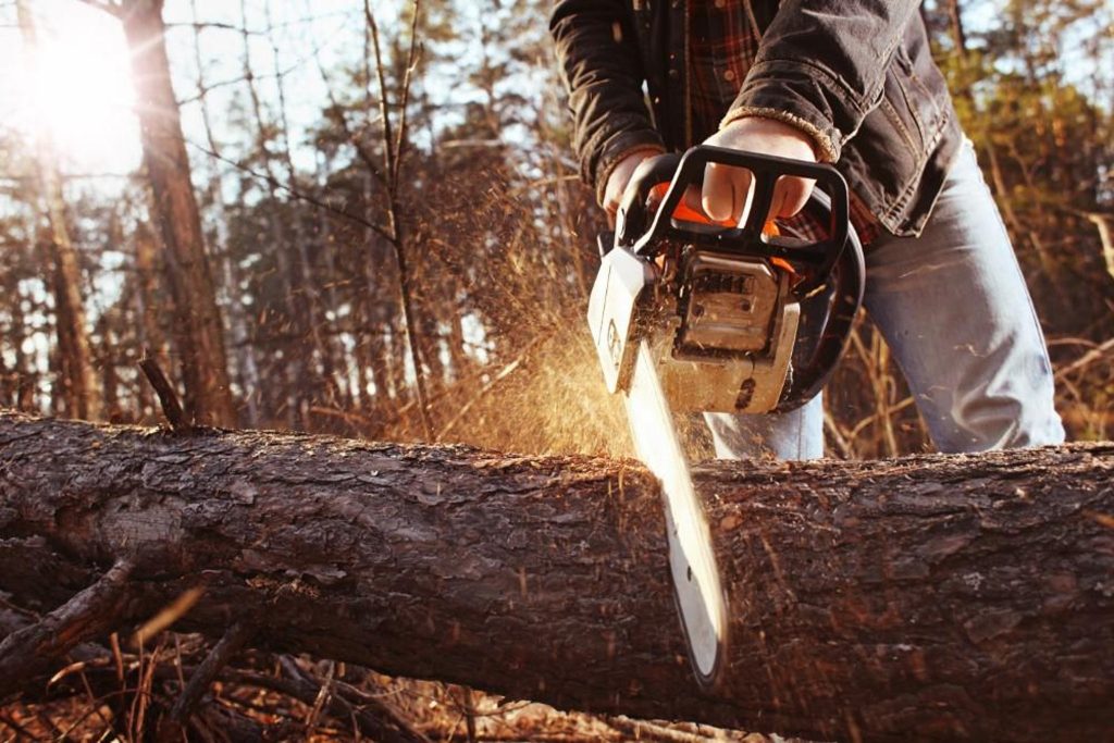 Trimming tool Sharpener